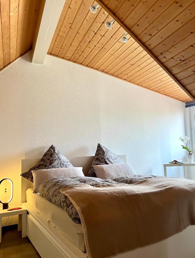 Anton-Ulrich Apartment Meiningen Dış mekan fotoğraf