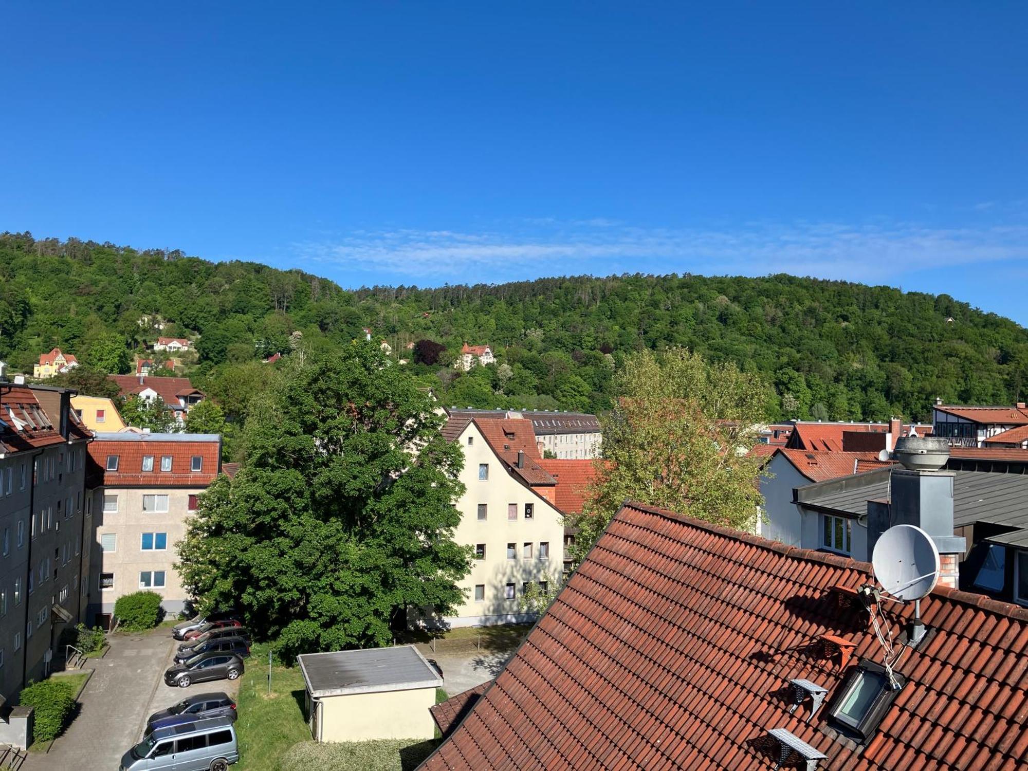 Anton-Ulrich Apartment Meiningen Dış mekan fotoğraf
