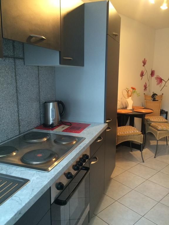 Anton-Ulrich Apartment Meiningen Dış mekan fotoğraf